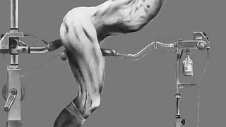 261 bdsm porn videos